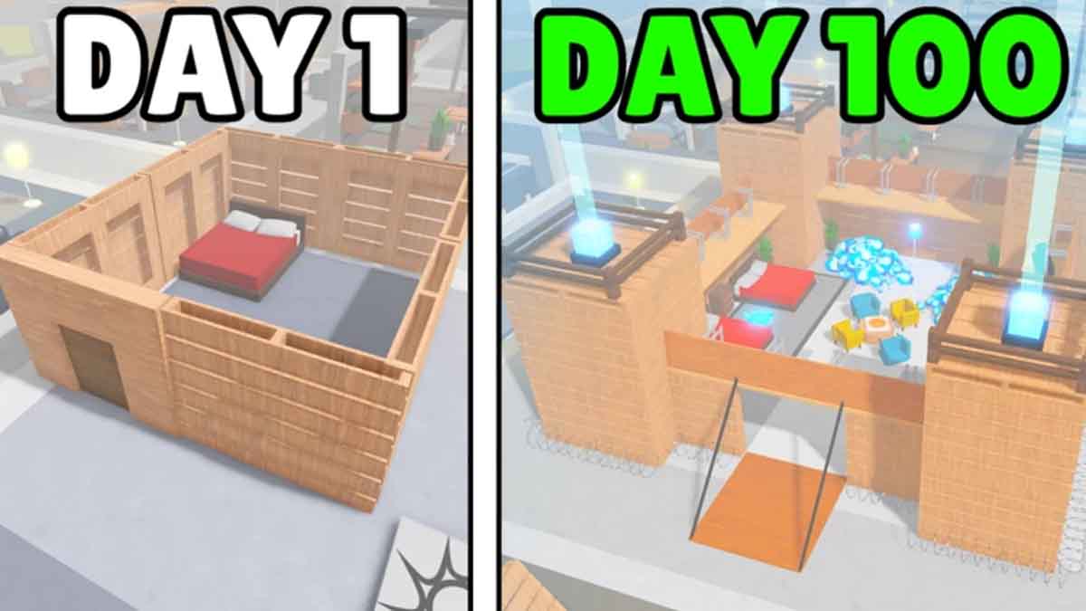 24 Hours Overnight Codes