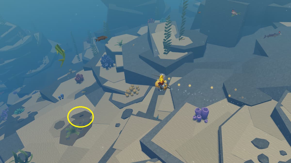 A Treasure Chest in Abyss