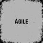 Agile game image