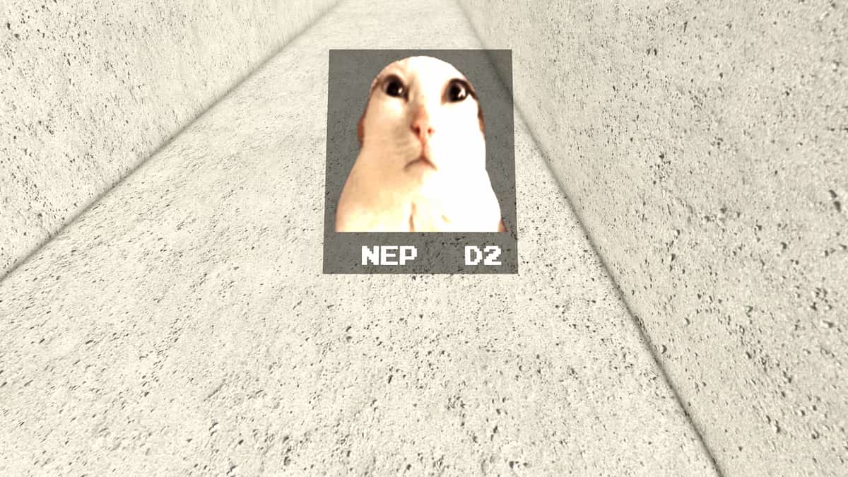 The Cat NEP D2 in JJS