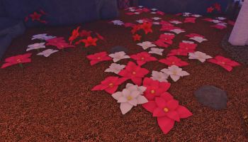 Several Flowers in Fisch