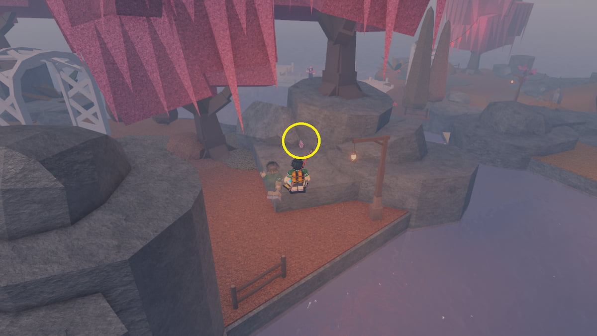 A Love Lantern in Fisch