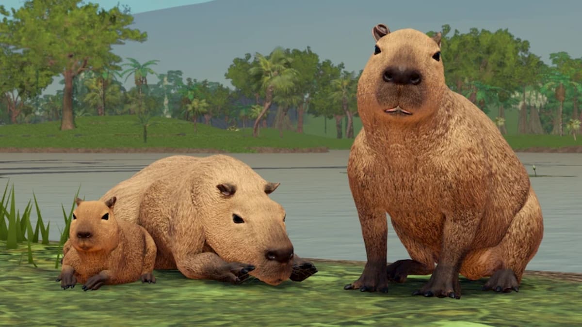 Jungle Life promo art.