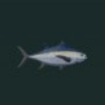 Roblox Abyss Blackfin Tuna