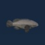 Roblox Abyss Grouper