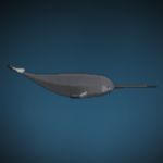Narwhal Location in Abyss