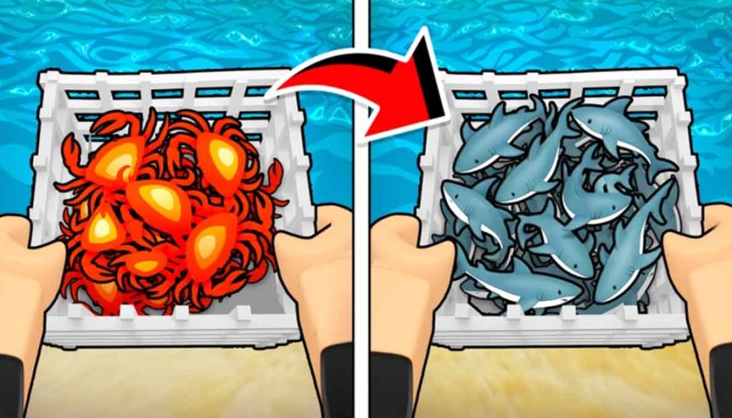 BE A FISH BAIT Codes (July 2026) [UPD FOMO - BUGS FIXED] — Free Rerolls ...