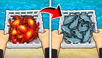 Cage Fishing promo image