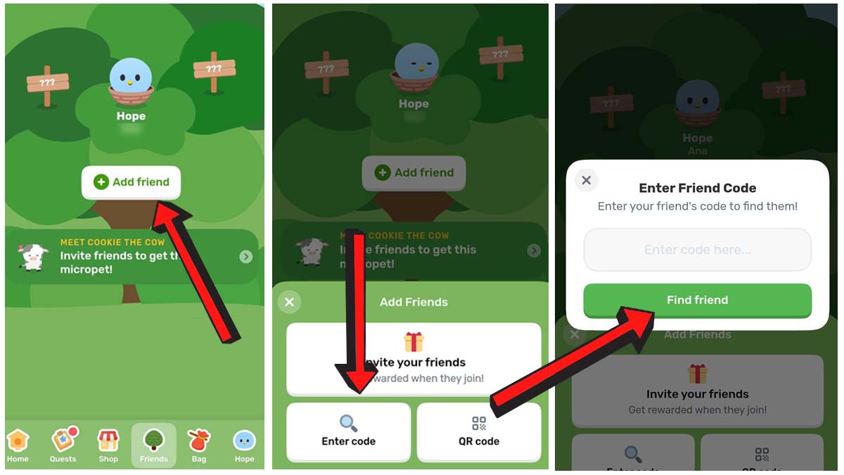 How To Use Finch Friend Codes