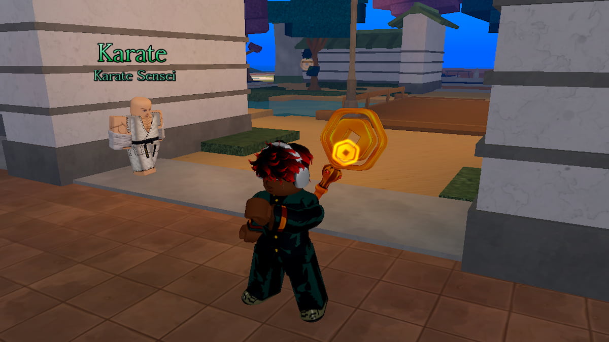 The Karate Master in Roblox