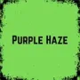 Purple Haze game image