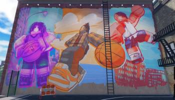 Roblox NBA Champions Basketball Codes