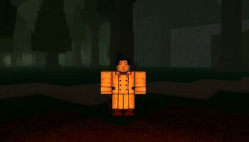 Bridger Western Beginner's Guide