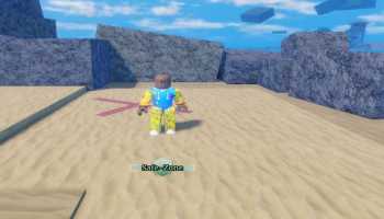 A player in Sailor Piece