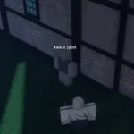 Bankai Spirit NPC Paradox