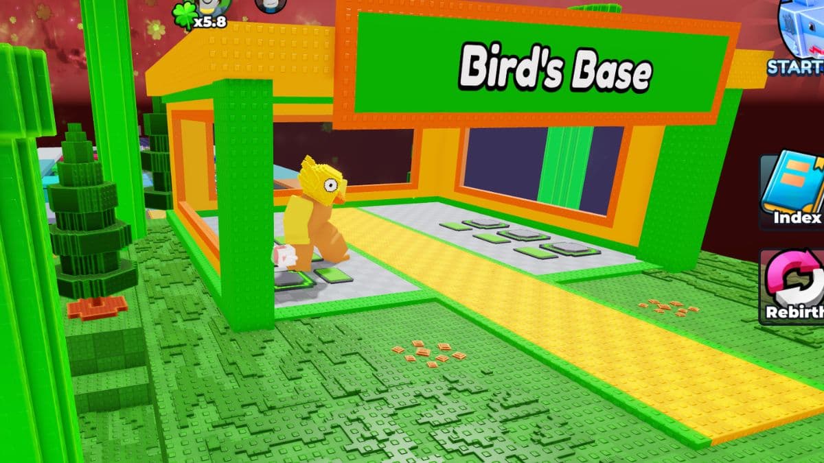 BALB Lucky Bird Event