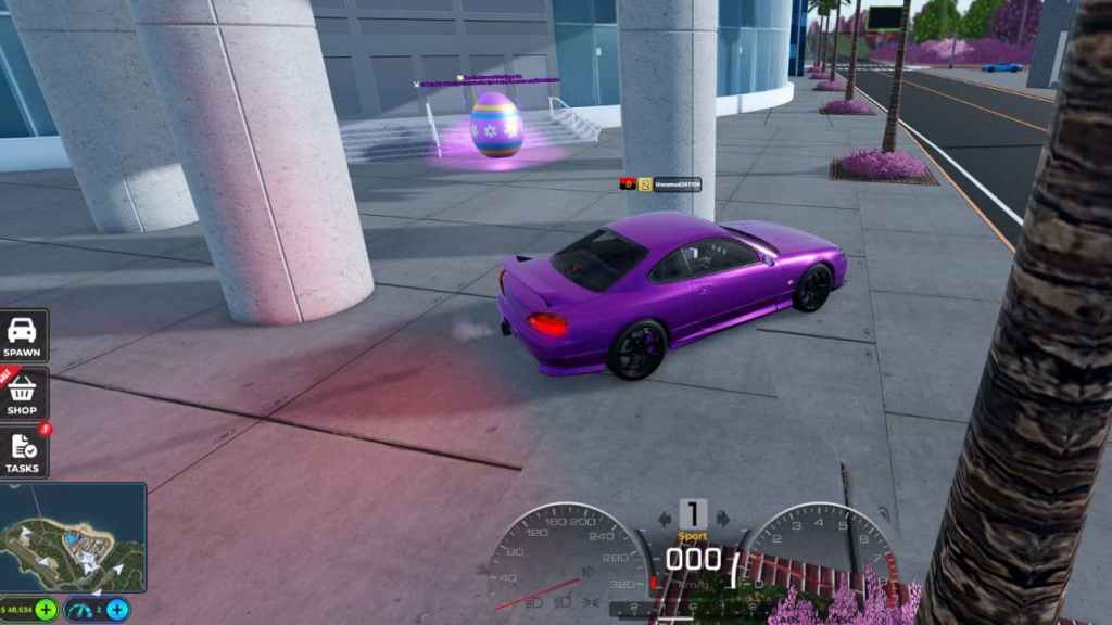 Easter Egg #12 in Realistic Car Driving