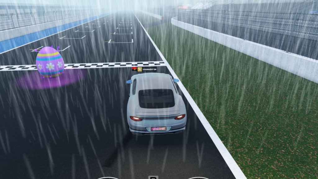 Easter Egg #36 in Realistic Car Driving