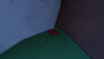 Blood Flower Locations in Sailor Piece