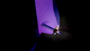 A fish part of the Enchanted Crevice