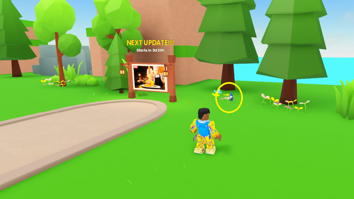 A Gnome in Run A Restaurant
