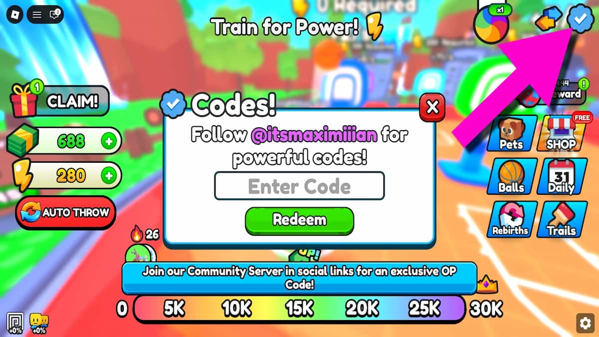 How to redeem Basketball Training codes.