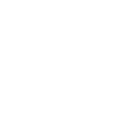 Lil’ Tokki