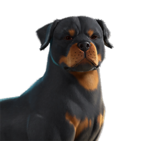 EsDeeKid’s Cerberus