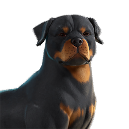 EsDeeKid’s Cerberus Sidekick