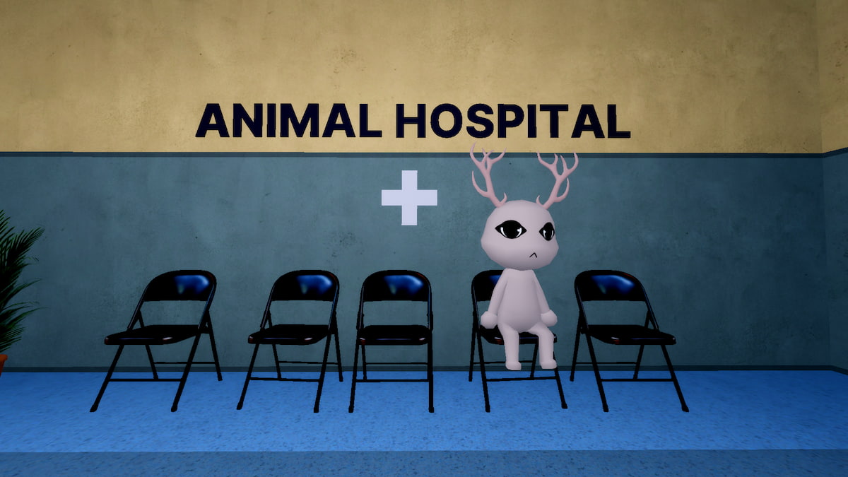 Animal Hospital Anomalies