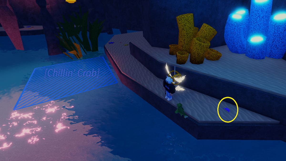 A Crab in Fisch