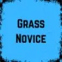 Grass Novice game image