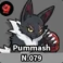 Pummash