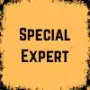 Special Expert game image