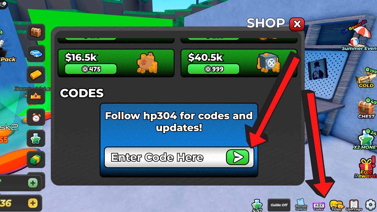Be a Director Codes Redemption System