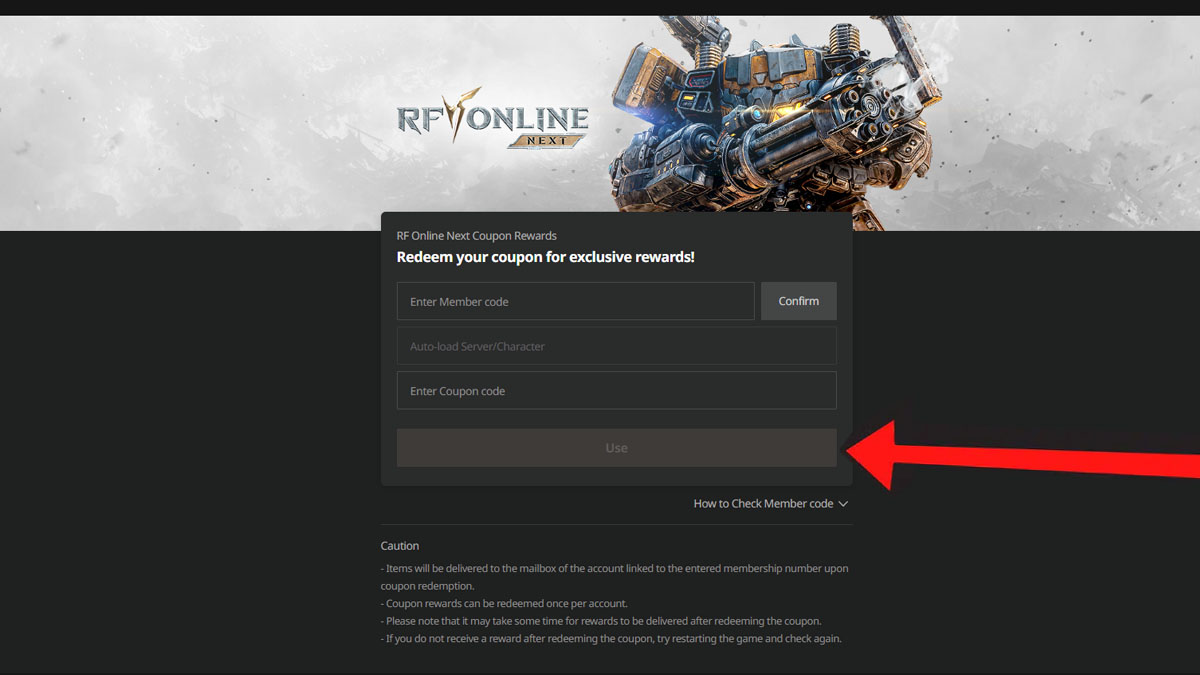RF ONLINE NEXT Codes Redemption System.