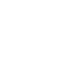 Lizard! Emote
