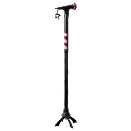 LISA’s Classic Mic