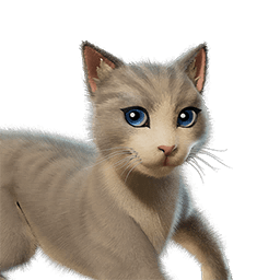 The Best Cat Sidekick