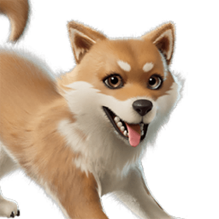 Miso