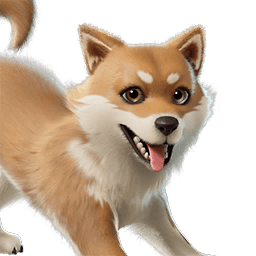 Miso Sidekick