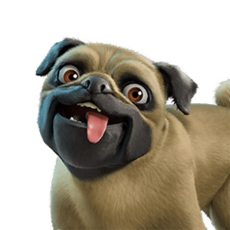 Doggo Jr.