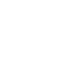 Captain Llamerica Emote