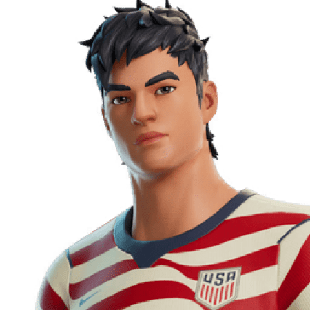Rogue Winger skin