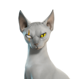 Meowdas Sphynx Sidekick