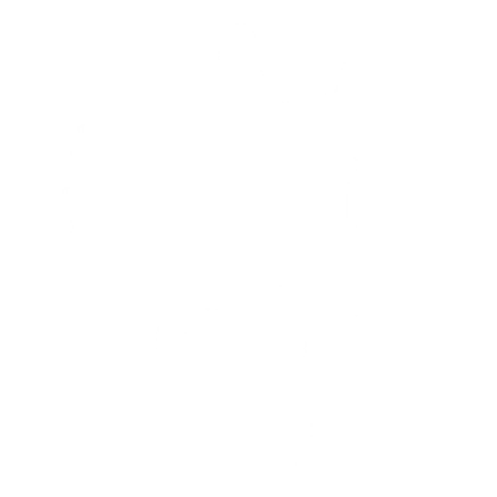 Femininomenon