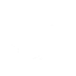 Peel Out Emote