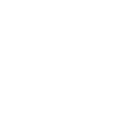 Prepare for Battle Emote