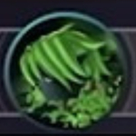 Druid race in MythFall