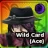 Wild Card (Ace) Anime Expeditions unit